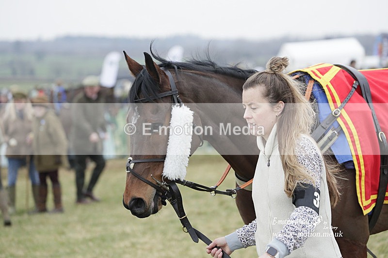 PtP 040323 624 - Duke of Beauforts Hunt Point-to-Point Didmarton 04/03/23