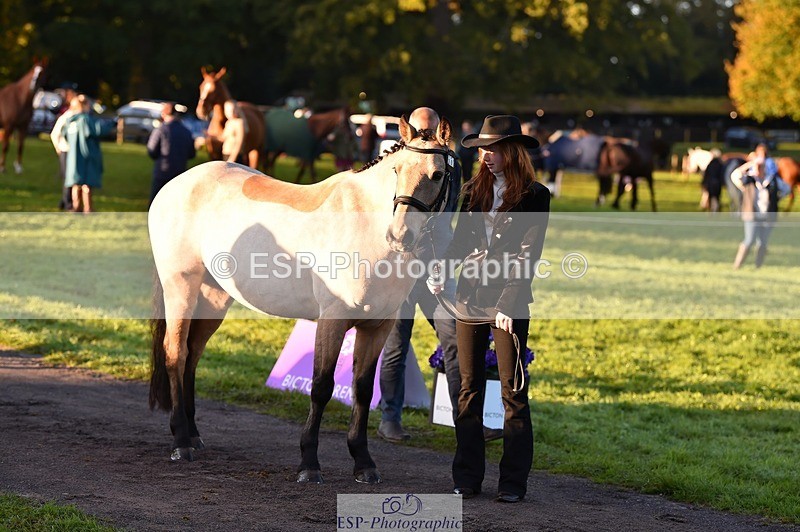 231022-084726-21360 - 661-MYSHALL.ROBBY-Poppy.Turriff-TrotUp+SJ