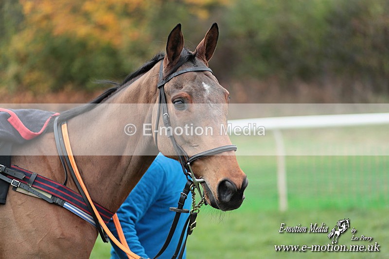 PtP 091124  157 - Knightwick Races Point-to-Point 09/11/24