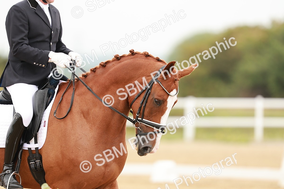 SBM_009345 - Class 12 - Elementary 6 - 10.50-11.50