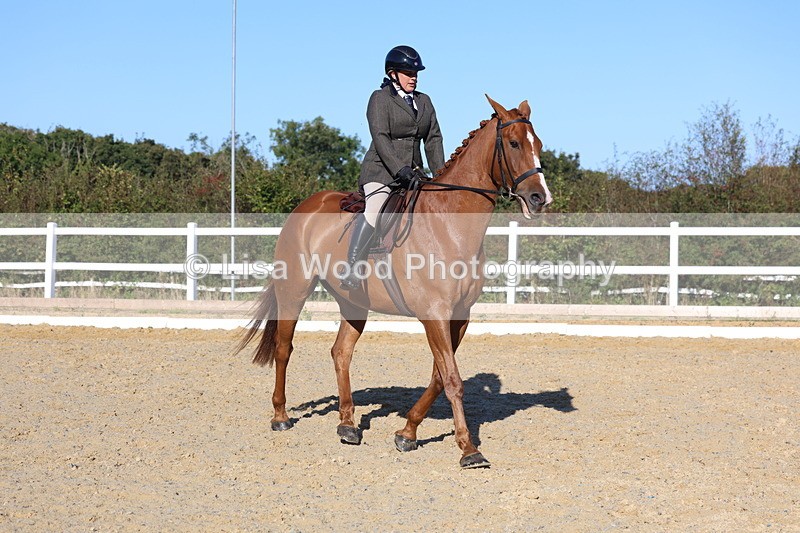 3E7A5184 - Class 7: Novice Ridden Hunter/Hack/RH/Cob