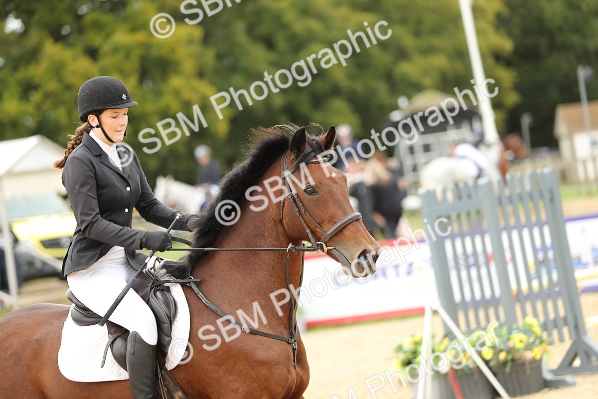SBM_59579 - J25 - Junior Horse 80cm Championship