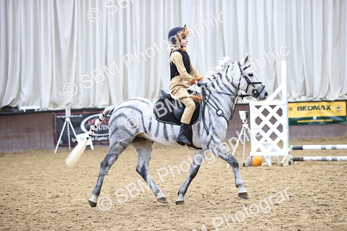 SBM_000658 - Class 2 - Show Jumping 50cm