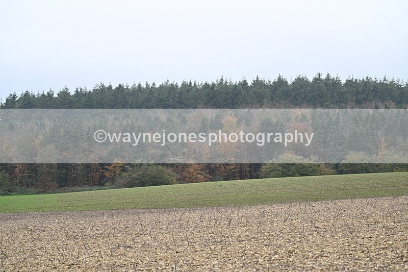 WJ7_8867 - Camera 1 only on this line