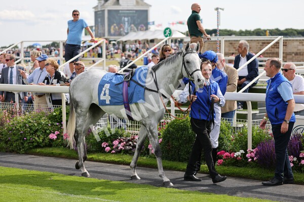 yr08072022r5-3 - Race 5 4.25pm Azets Stakes