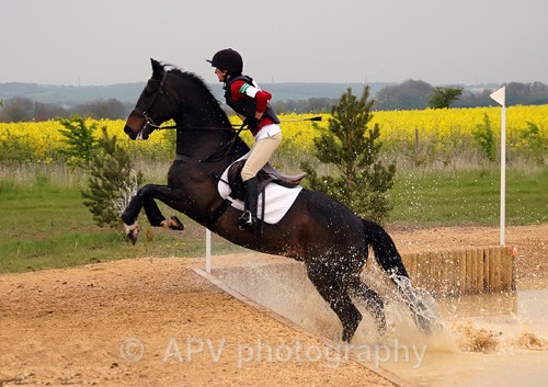 Jump out... - Horses'n'Ponies