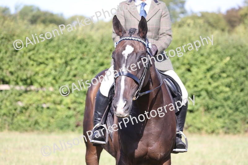 20260906-0394 - Class 14 - Ex Racehorse