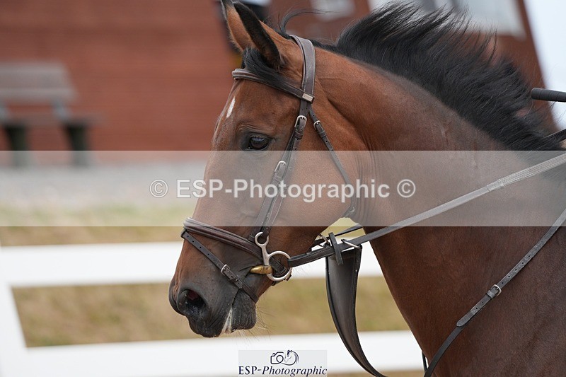 250715-161724-00093 - 70cm