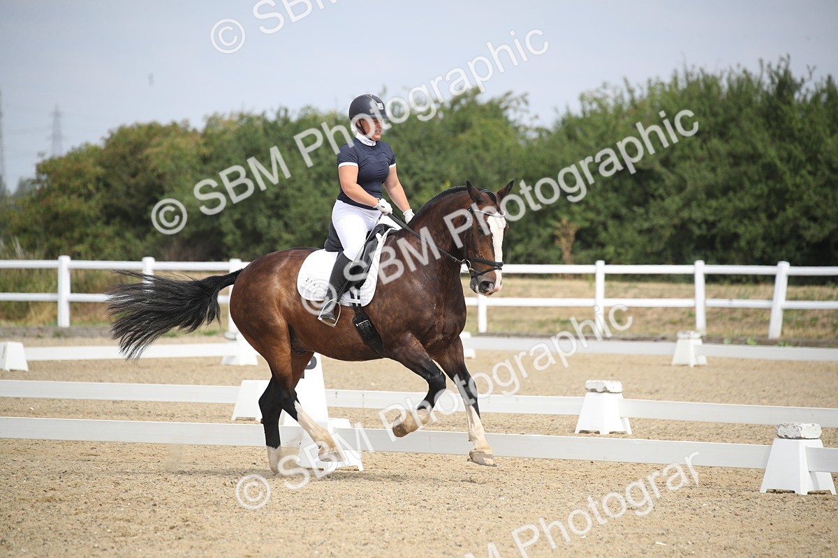 SBM_006649 - Novice 5 - 10.56-13.12