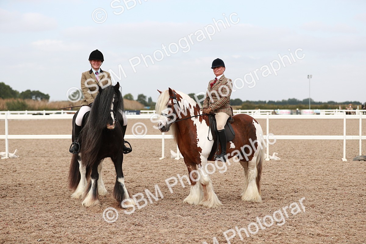 SBM_16721 - Class 214 Ridden Cob