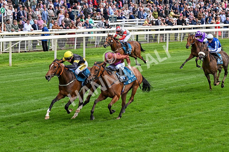 120626-Race 4-Big Negotiator-0233 - Race 4 15.35pm Juddmonte EBF Fillies' Restricted Novice