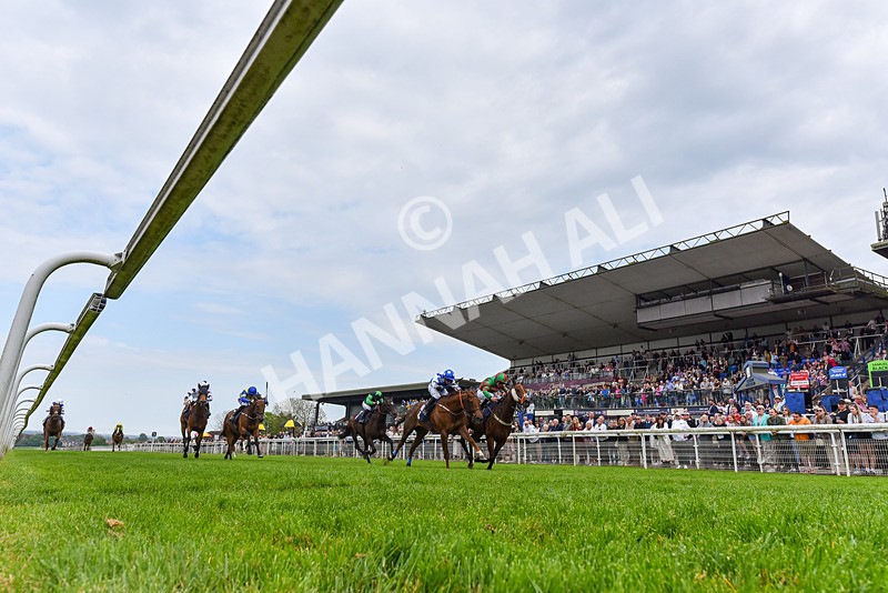 060524-Race 5-Original Thinker-4798 - Race 5