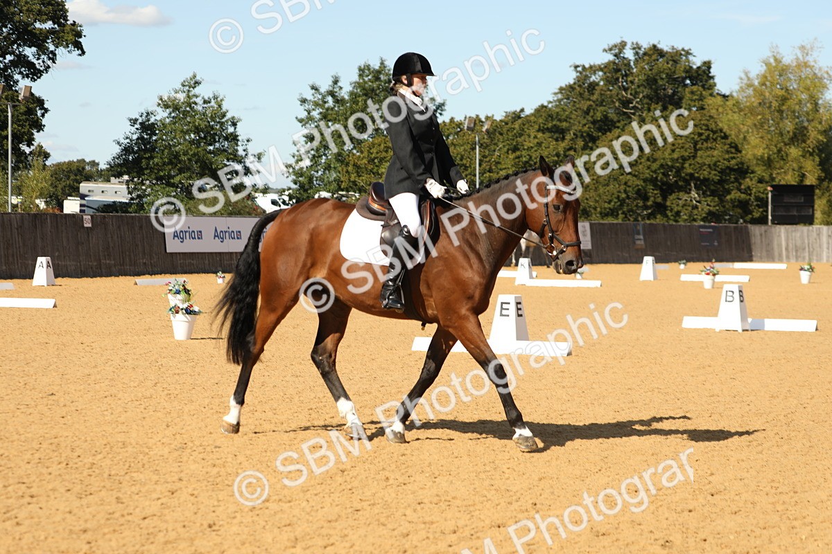SBM_24436 - D17 - Grand Tour Championship - Novice 27