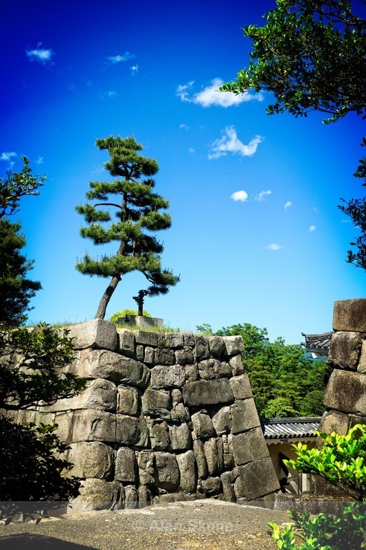 DSC05308 - Kyoto