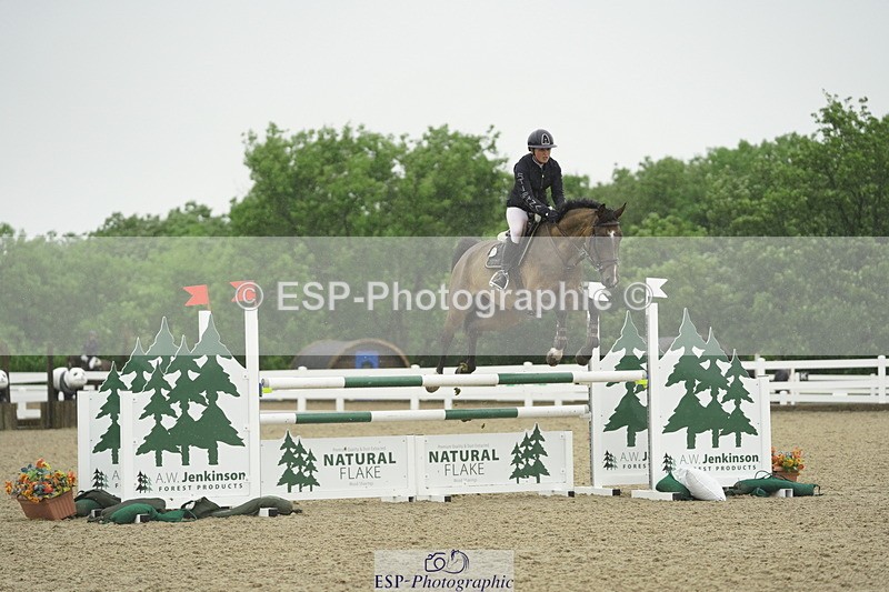 230722A-133006-09383 - Cls 15, 1 Star Bronze 1.15m