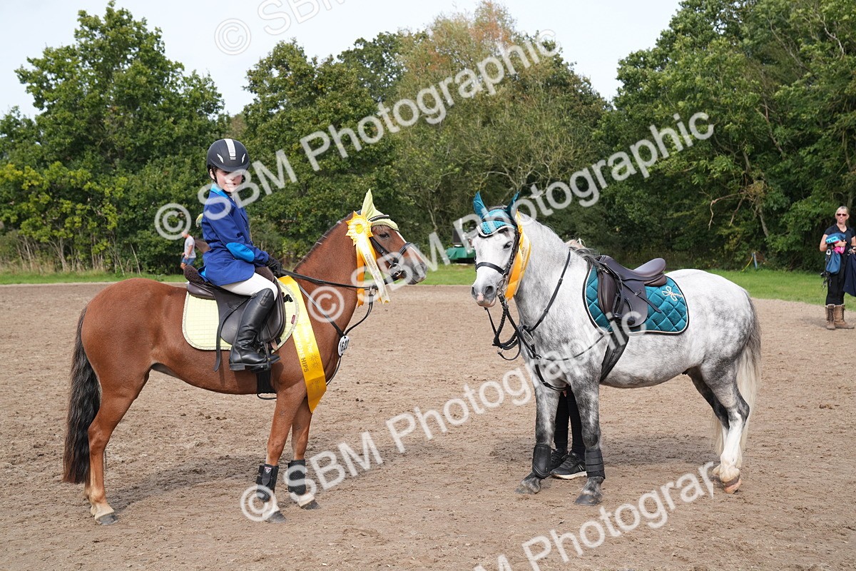 SBM_70530 - J3 - Mini Tour Junior Pony 40cm Championship