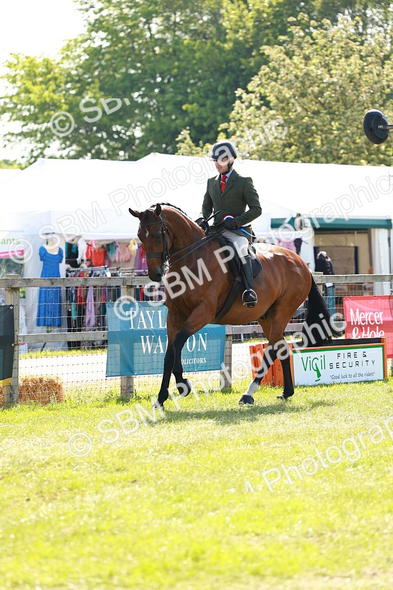 SBM_11984 - Class 66-69 - RIHS Ridden Hunters Inc Small Hunter