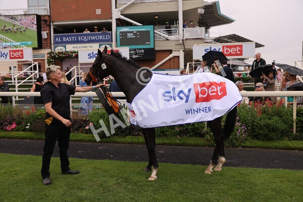 yr23072022r1-100 - Race 1 2.05pm Sky Bet Jump Jockeys Nunthorpe