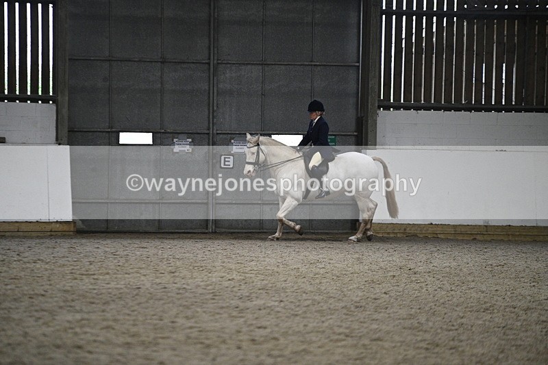 WJ7_3614 - Class 16 Ridden Coloured/ Odd Coloured