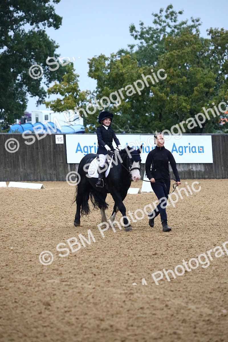 SBM_34648 - D26 - Starters Lead Rein