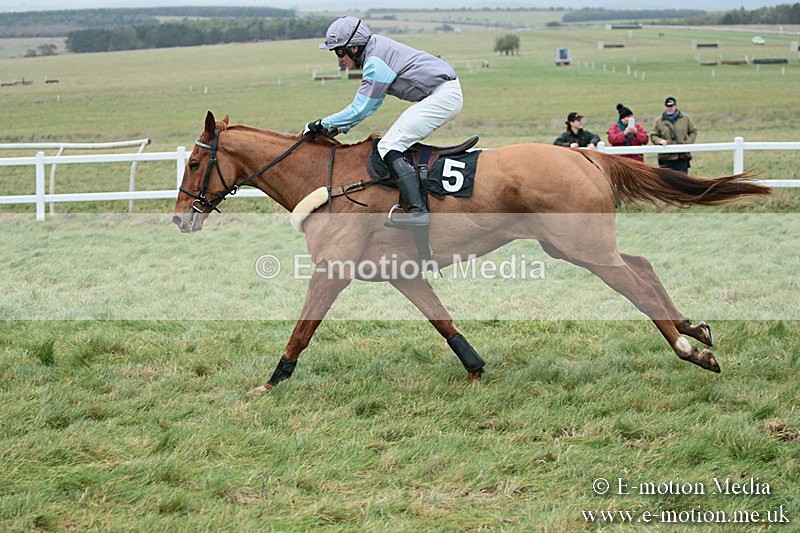 PtP 021218-187 - Hursely Hambledon Hunt Point-to-Point - Larkhill 02/12/18