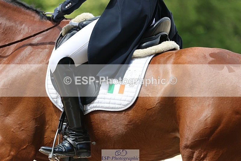 240523-121308-03741 - 232-MAYFAIR_TN-Susie_Berry