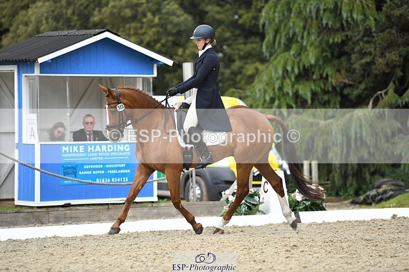 230525-144207-03160 - 323-CHESTNUT_BOBBY-Molly_Fletcher-WEDTrotUp+DR