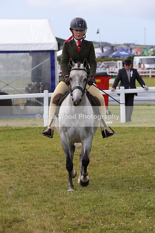 1X9A4026 - Class 32: Show Hunter Pony 153cm and under