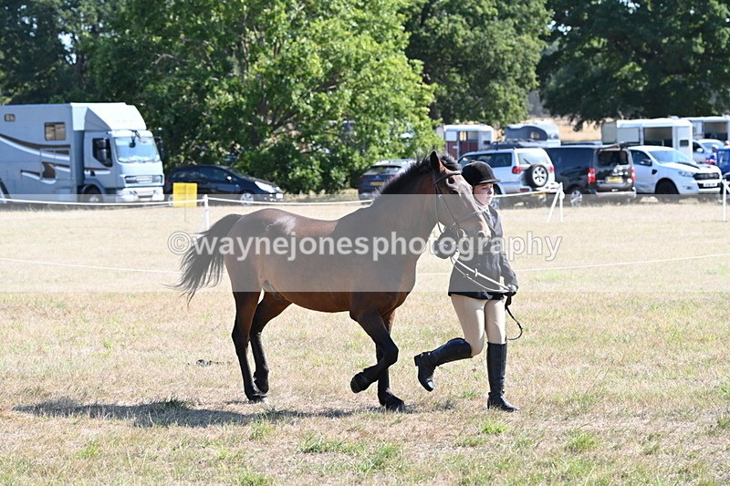 WJ6_7534 - Class 34 Judges Choice