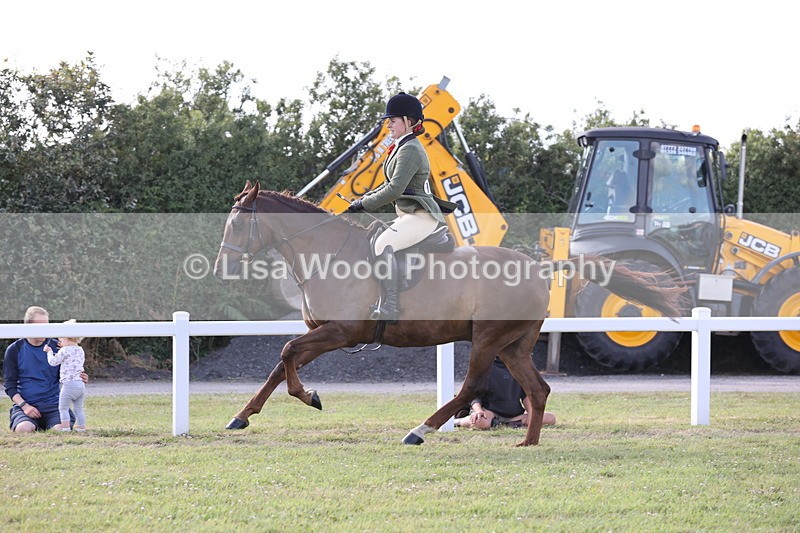 JPP_3006 - Class 20: Working Hunter 70cm