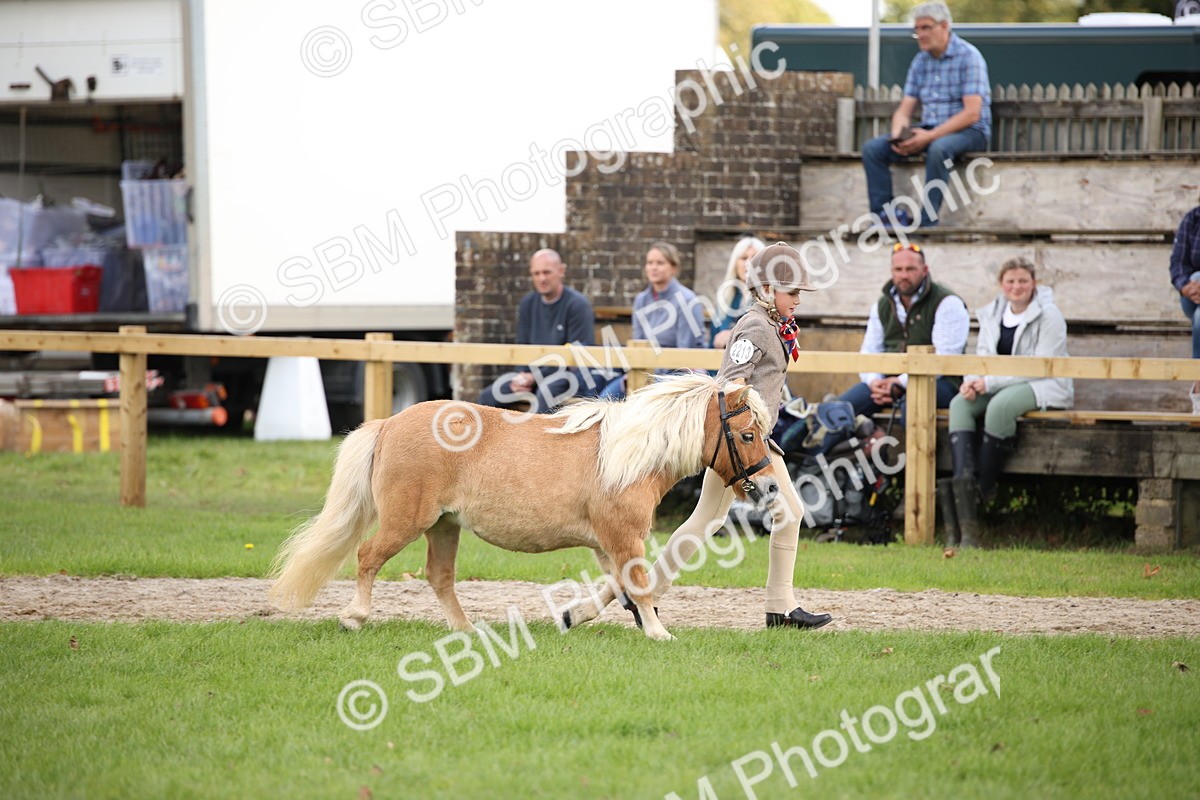 SBM_44367 - S24 - Young Veteran in hand
