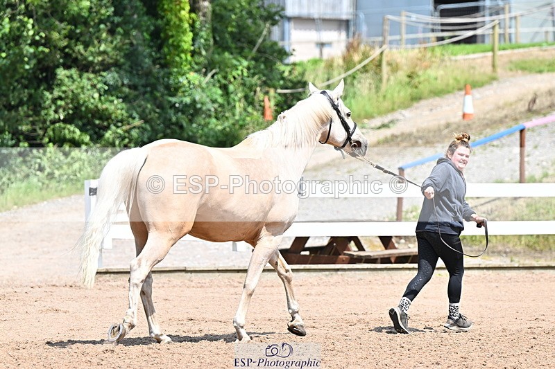 240718A-105315-01758 - Trot Up 1pm to 2pm