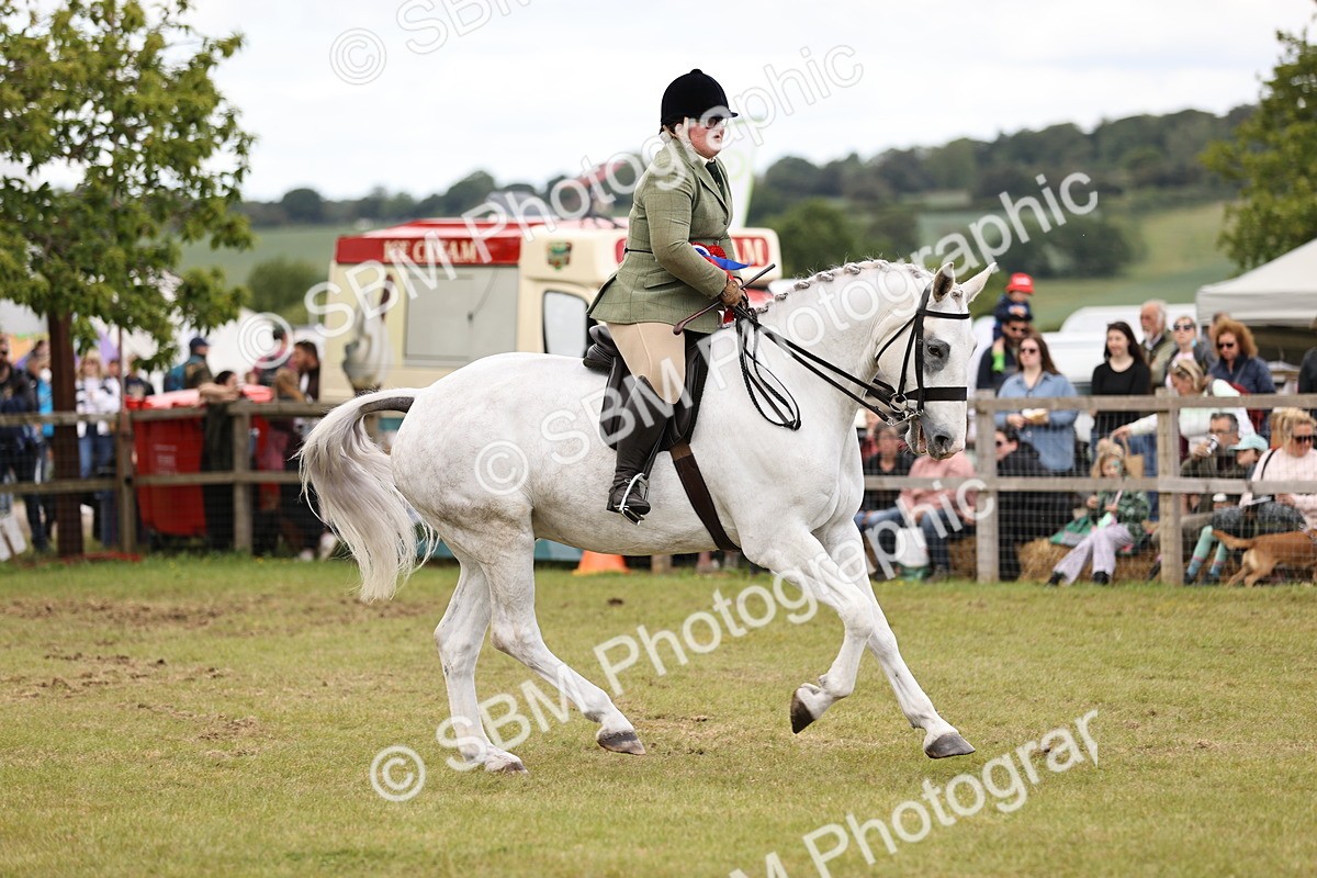 SBM_14829 - Class 88-89 - LIHS BSHA Rising Star of Ridden Hunter Type