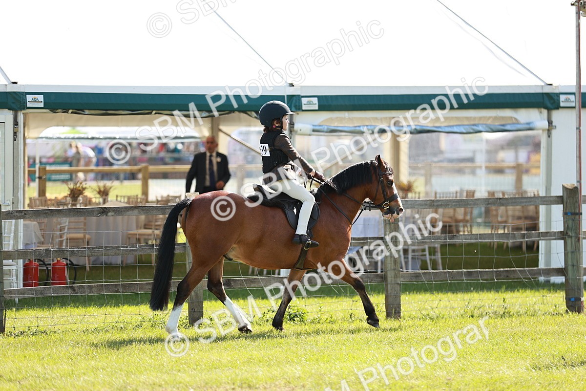 SBM_12572 - Class 106-107 - BSPS LIHS Working Sports Pony
