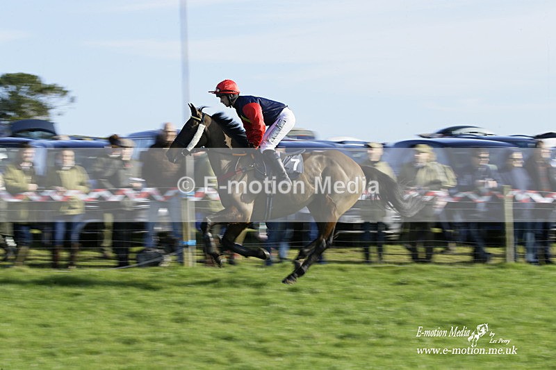 PtP 300122 194 - South Dorset Hunt - Point-to-Point Races 30/01/2022