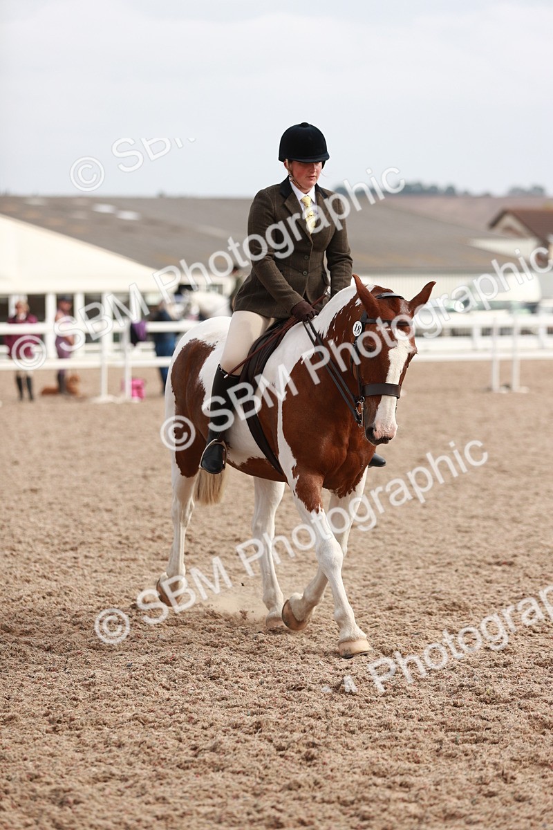 SBM_16795 - Class 214 Ridden Cob