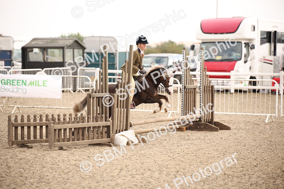 SBM_12571 - Class 405b - M&M Working Veteran 50cm 20+