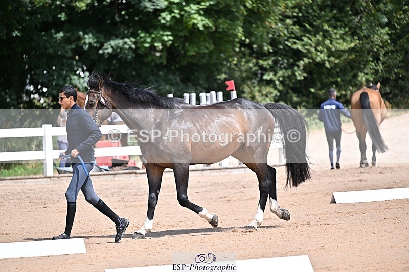 250716-123956-00101 - Trot Up 12.30 to 1.30