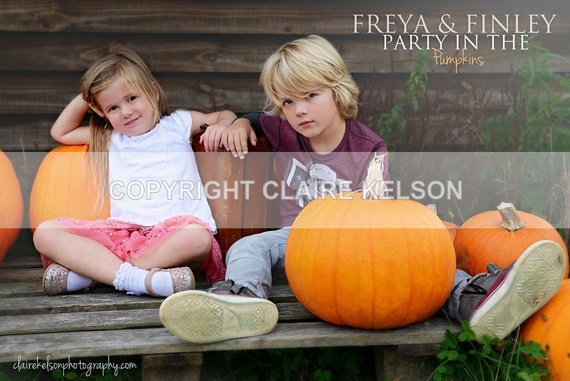 DSC_8797-5b - SEASONAL OUTDOOR SHOOTS - PUMPKINS