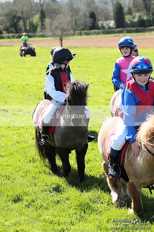 Shet 060426 359 - Shetland Pony Racing Paxford Races Easter Mon 06/04/26