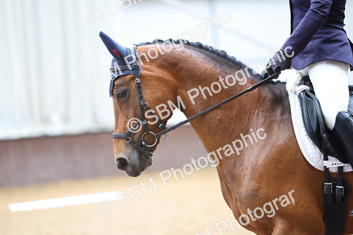 SBM_005533 - Class 3 - Novice 5