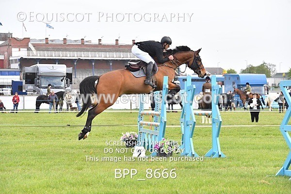 BPP_8666 - CLASS 1 Senior 1.15m Open (inc National 1.15m Members Cup Qualifier)