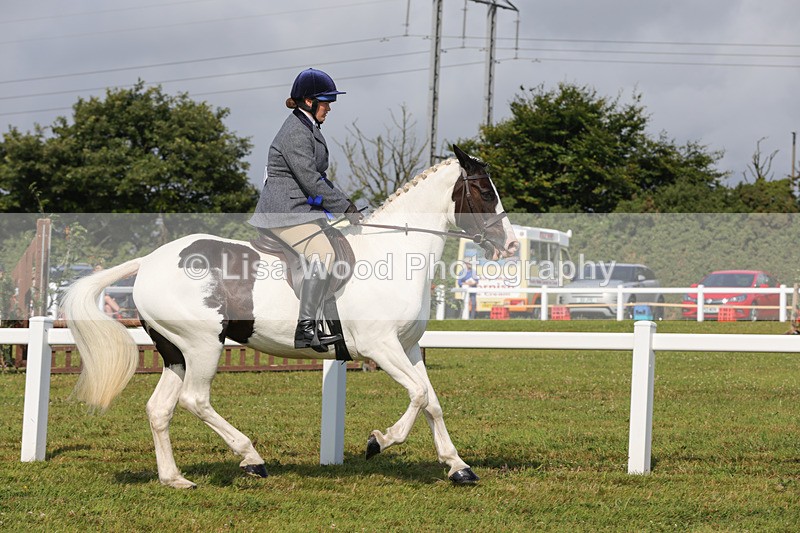 1X9A3494 - Skewbald and Piebald Ridden Championship