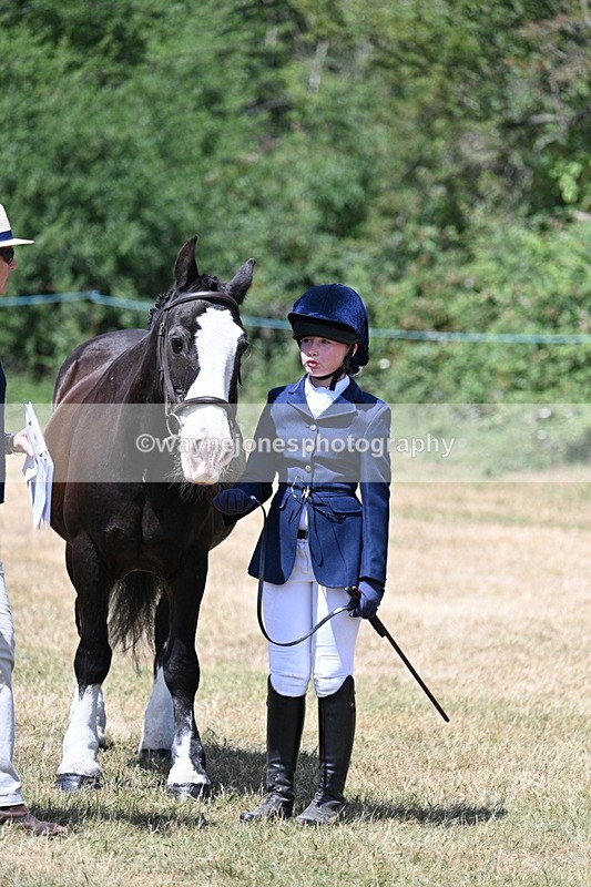 WJ7_2205 - Class 5 Most Handsome Gelding (up to 14.2hh) in hand