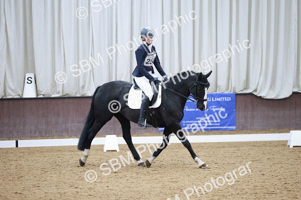 SBM_004617 - Ring 3 - International -  Working Hunter Classes 23-2-25