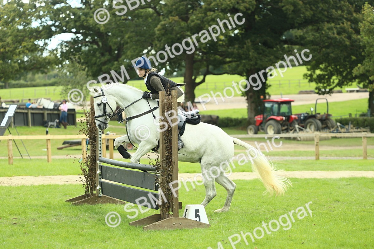 SBM_44725 - S31 - Working Hunter Pony