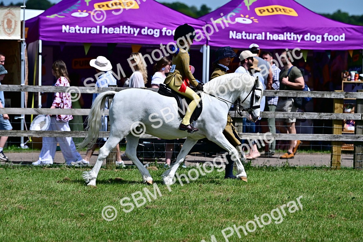 SBM_06436 - Class 59-60 - TSR M&M  Lear Rein and First Ridden Amateur of the year