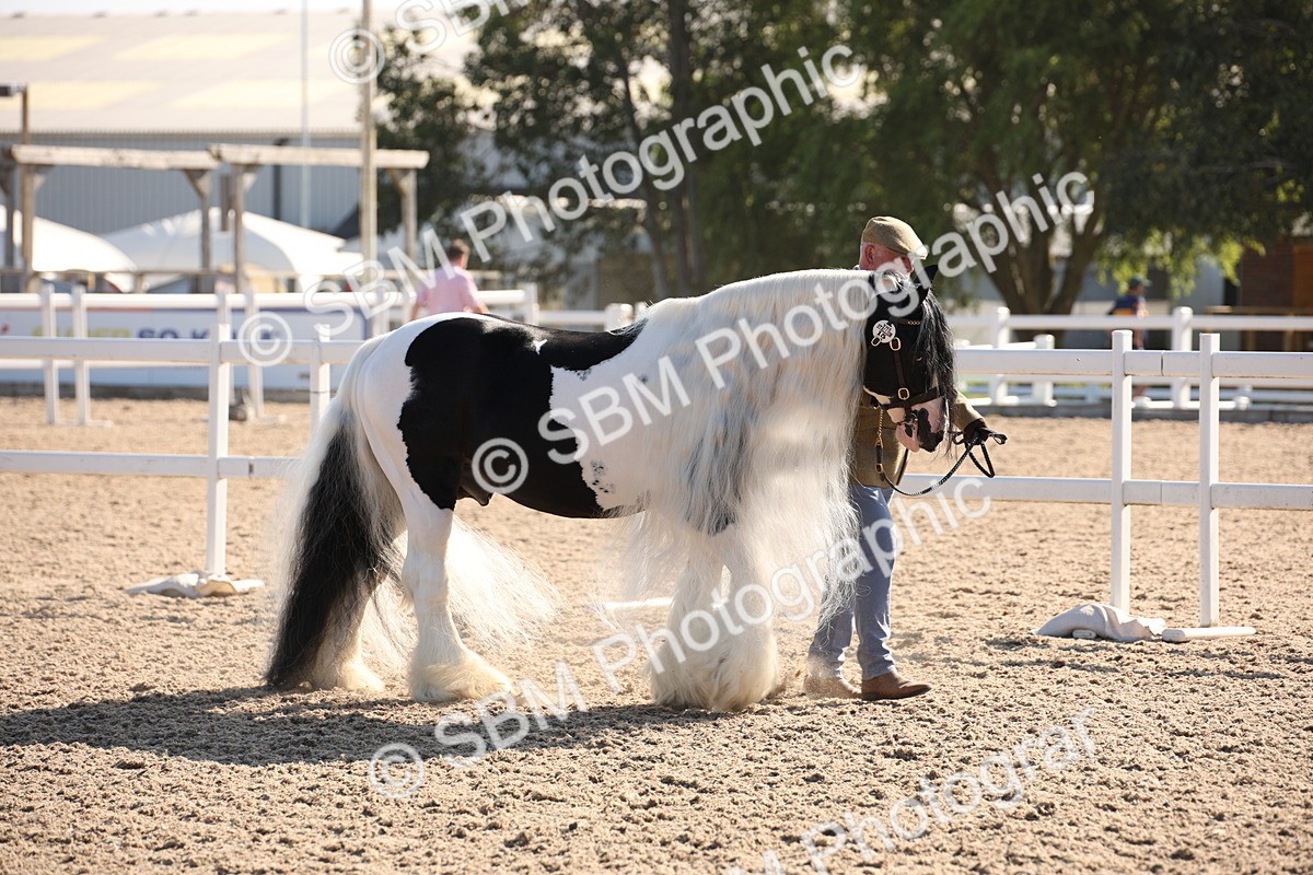 SBM_01433