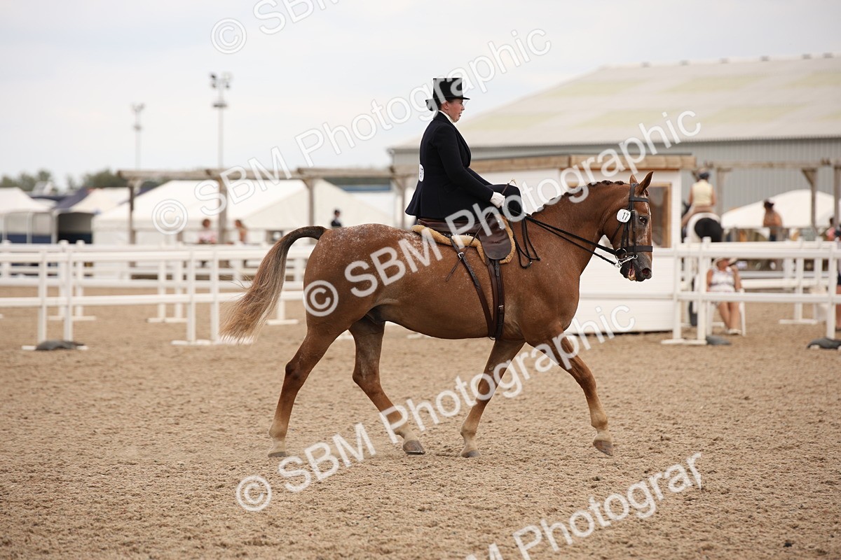 SBM_05375 - Class 22 SSA Equitation