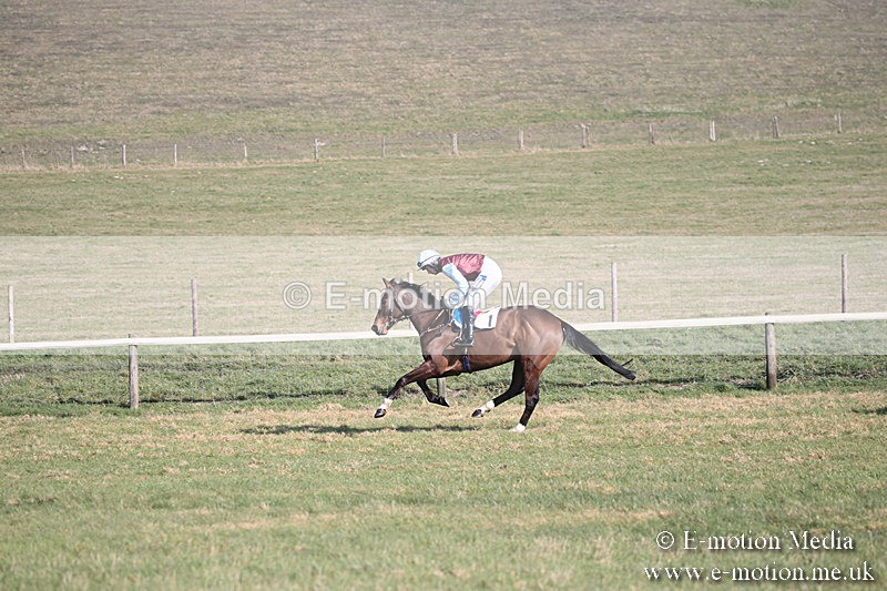 PtP 230219 185 - Vine & Craven Point-To-Point - Barbury 23/02/19